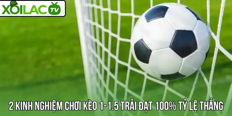 2 kinh nghiệm chơi kèo 1-1.5 trải đạt 100% tỷ lệ thắng