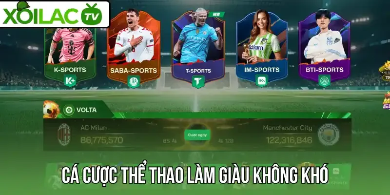 Cá cược thể thao làm giàu không khó
