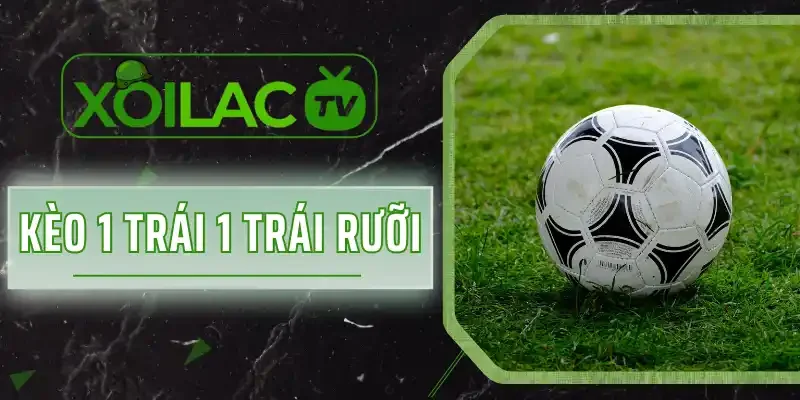 Kèo 1 Trái 1 Trái Rưỡi Là Gì? Tìm Hiểu Cách Chơi Luôn Thắng