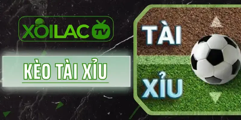 Kèo Tài Xỉu - Cách Đọc 5+ Mức Kèo Được Yêu Thích Nhất 