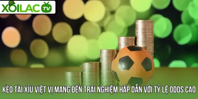 Kèo tài xỉu việt vị mang đến trải nghiệm hấp dẫn với tỷ lệ odds cao
