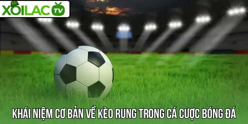 Khái niệm cơ bản về kèo rung trong cá cược bóng đá