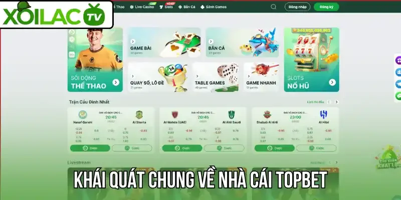 Khái quát chung về nhà cái Topbet