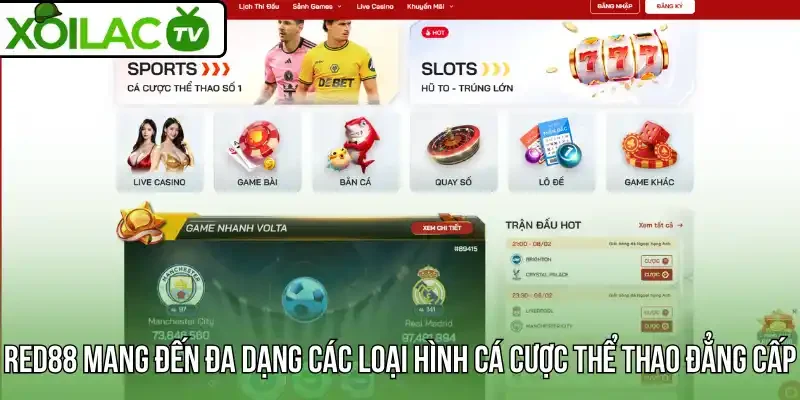 Red88 mang đến đa dạng các loại hình cá cược thể thao đẳng cấp