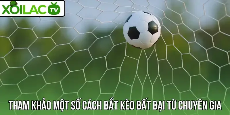Tham khảo một số cách bắt kèo bất bại từ chuyên gia 