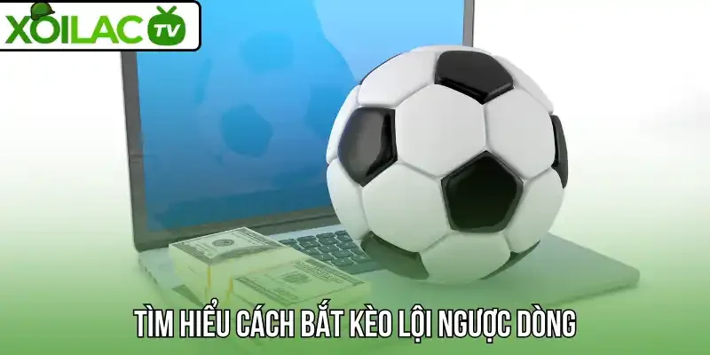 Tìm hiểu cách bắt kèo lội ngược dòng