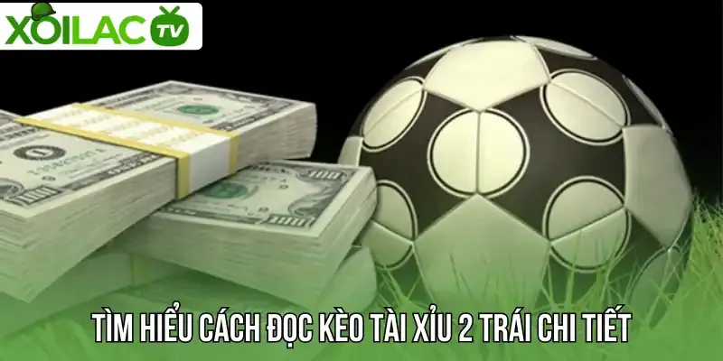 Tìm hiểu cách đọc kèo tài xỉu 2 trái chi tiết