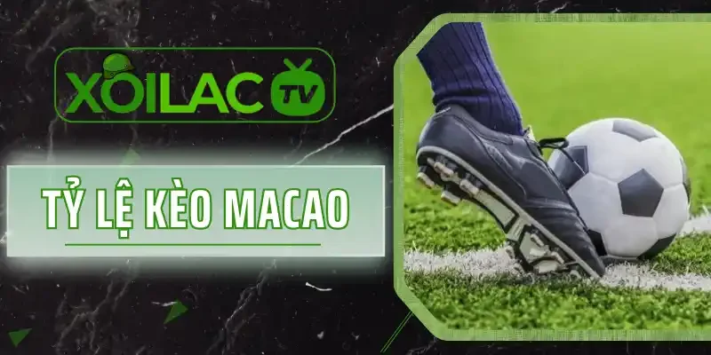 Tỷ Lệ Kèo Macao - Chia Sẻ Cách Đọc Và Bắt Kèo Chuẩn Xác Nhất